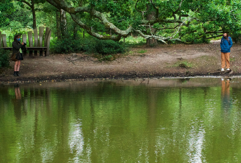 At Rushy Pond